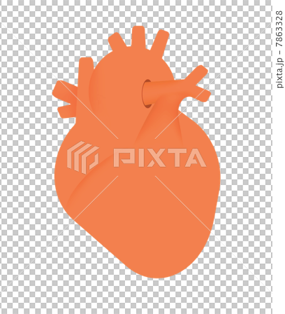 人の心臓 7863328