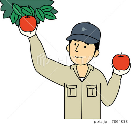 リンゴを収穫する男性のイラスト素材
