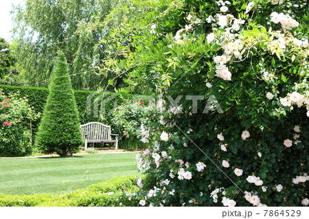 松江イングリッシュガーデンの写真素材