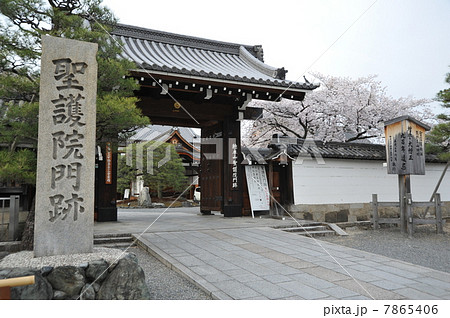 京都　聖護院の春 7865406