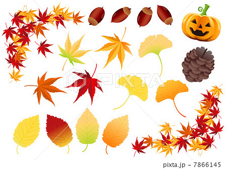Autumnal parts Vector  7866145