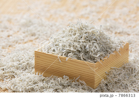 ちりめんじゃこ 7866313