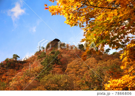 荒川峡鷹ノ巣山の紅葉 7866806