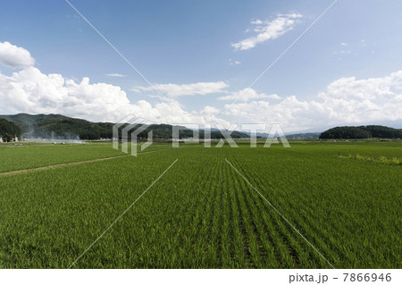 長野田園風景 7866946