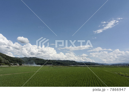 長野田園風景 7866947