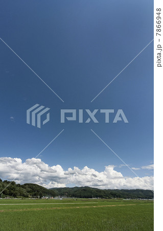 長野田園風景 7866948