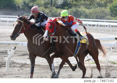 競馬 7867102