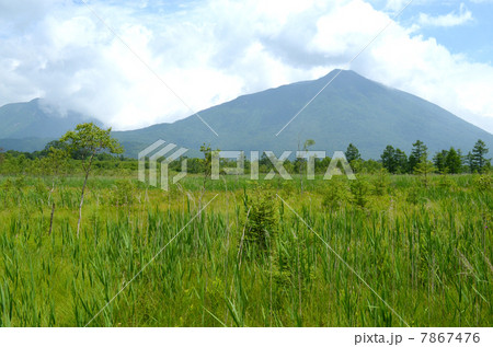 戦場ヶ原と男体山 戦場ヶ原と男体山 7867476