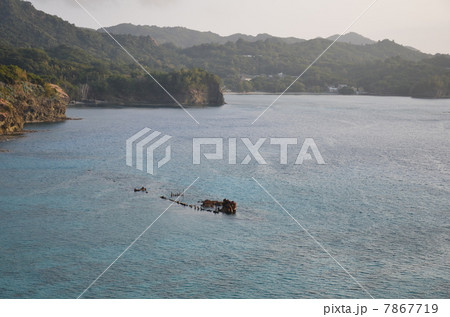 小笠原諸島　父島 7867719