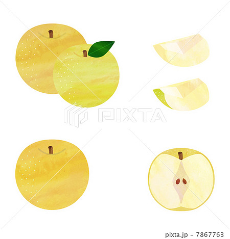 梨のイラスト素材