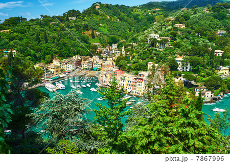 Portofino village on Ligurian coast, Italy 7867996