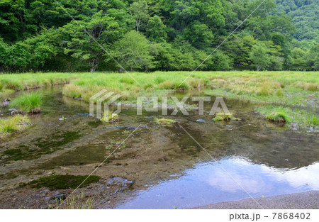 光徳沼 7868402