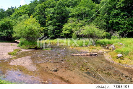 光徳沼 光徳沼 7868403