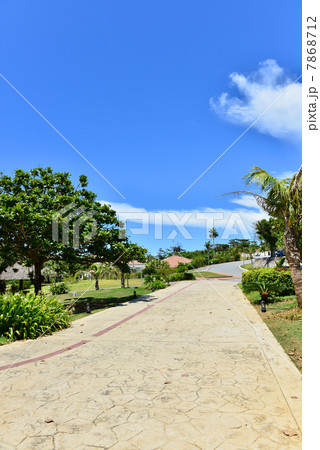 万座ビーチ 7868712