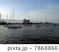 信濃川 信濃川 7868866