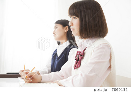 勉強する女子高生 勉強する女子高生 7869152