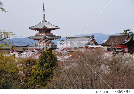 京都　清水寺の春 7869398