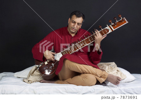 Man playing the sitar Man playing the sitar 7873691