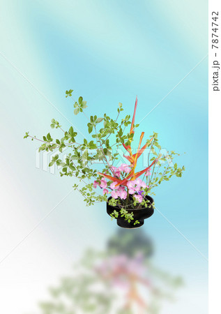 いけばな 7874742