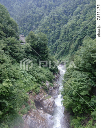 仙人谷を流れる黒部川 仙人谷を流れる黒部川 7875176