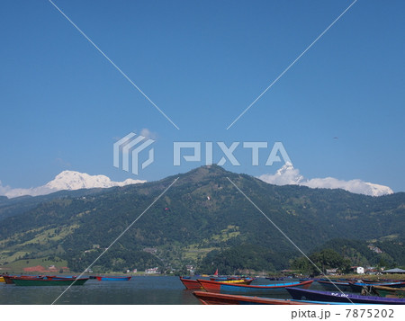 ネパール　ポカラ 7875202