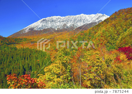 紅葉の大山 7875244