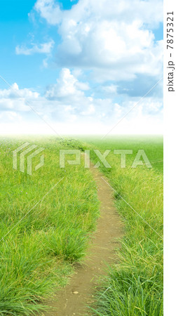 草地の道 草地の道 7875321