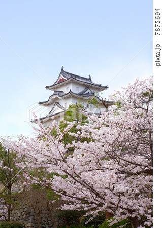 桜の頃の明石城 7875694