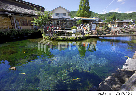 中池 (忍野八海の中心的な場所) 中池 (忍野八海の中心的な場所) 7876459
