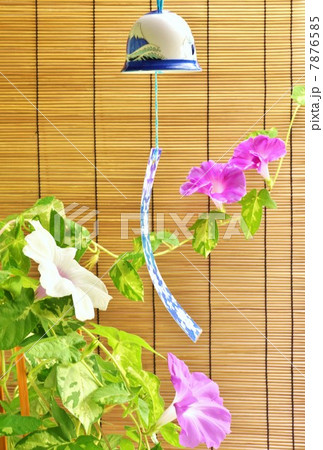 夏の背景素材 簾中央に青い風鈴左に朝顔の白花１赤花３ 縦位置の写真素材