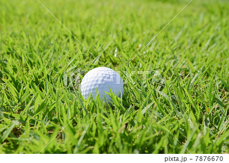 芝とゴルフボールの写真素材