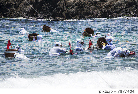 海女　磯着　伊勢志摩　日本遺産　素潜り漁　 7877404