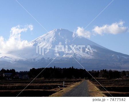 世界文化遺産 富士山 7877582