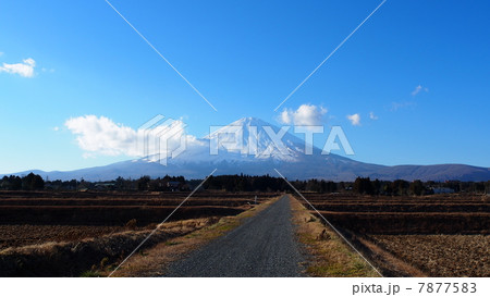 世界文化遺産 富士山 7877583