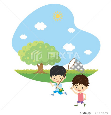 昆虫採集 7877629