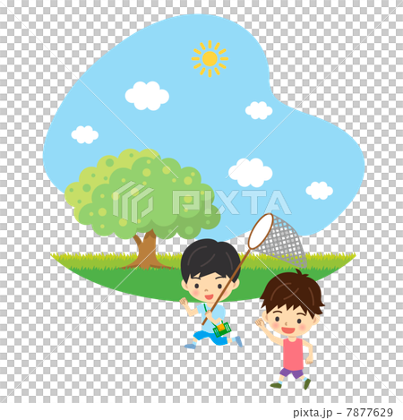 昆虫採集 7877629