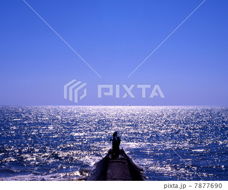 モロンダバの海 7877690