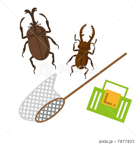 昆虫採集 昆虫採集 7877835