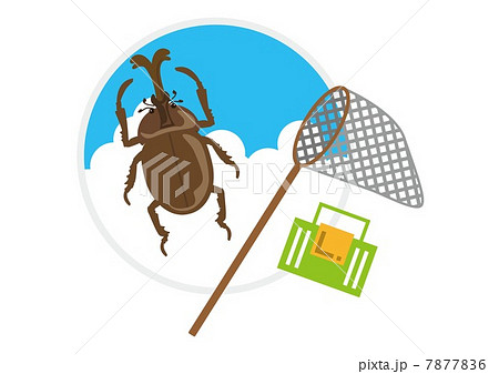 カブト虫 カブト虫 7877836