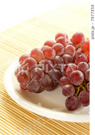 ブドウ 7877858