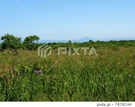 釧路湿原 7878244