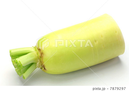 大根 大根 7879297