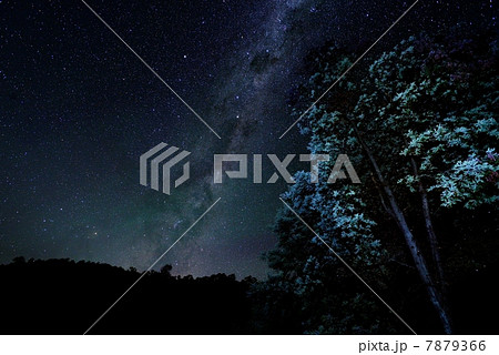夏の天の川　南半球 7879366