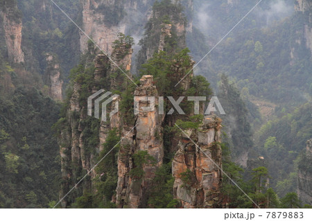 武陵源の石柱群（中国湖南省張家界市） 7879883