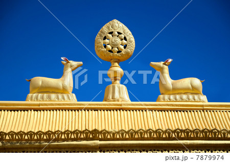 Buddhist symbols 7879974