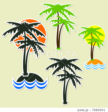 Different palm Different palm 7880001