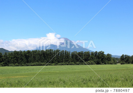 夏の岩手山と岩手牧場 7880497