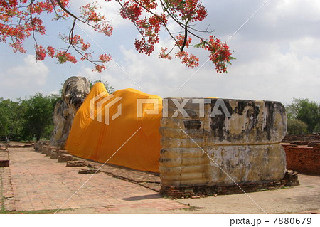 ぐっすりＺＺＺ 7880679