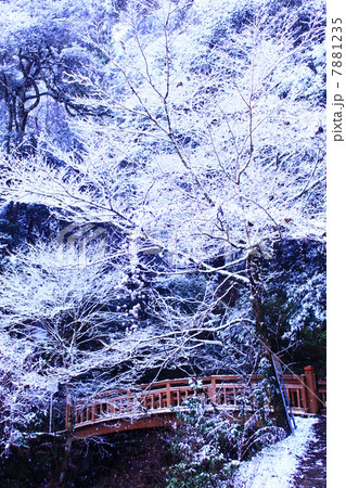 雪の渓谷 7881235
