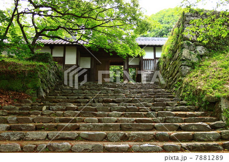 秋月　長屋門 7881289